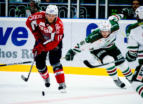 Linus Fagemo, Borås och Christopher Liljewall, Rögle