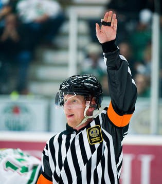 Rickard Holm, domare