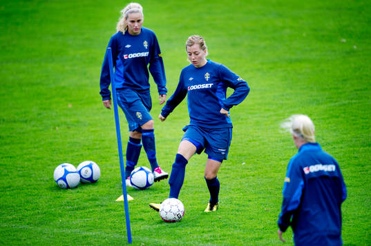 Sara Larsson, Sverige