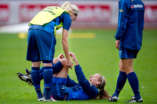 Charlotte Rohlin, Sverige