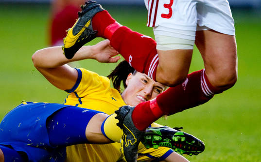 Jessica Landström, Sverige kapning
