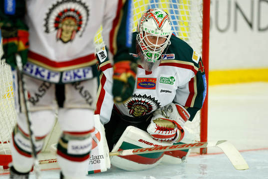 Johan Holmqvist, Målvakt Frölunda depp