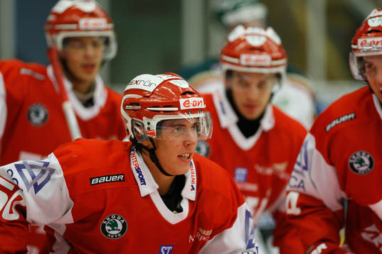 Sebastian Erixon, Timrå jubel