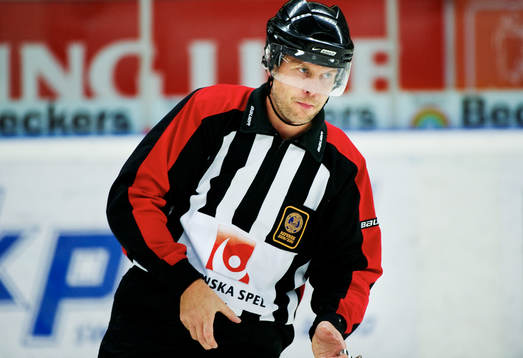 Ulf Rönnmark, domare