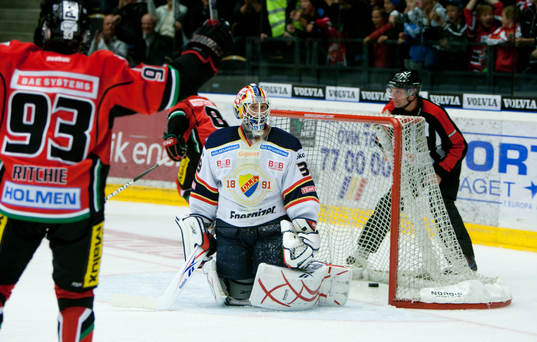 Stefan Ridderwall, Målvakt Djurgården