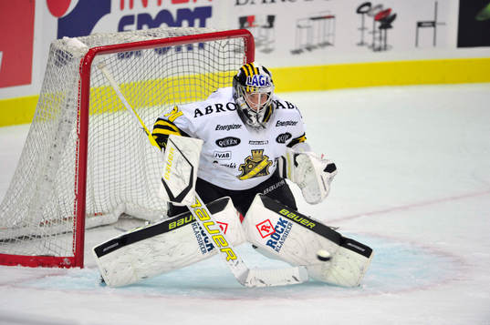 Viktor Fasth, målvakt