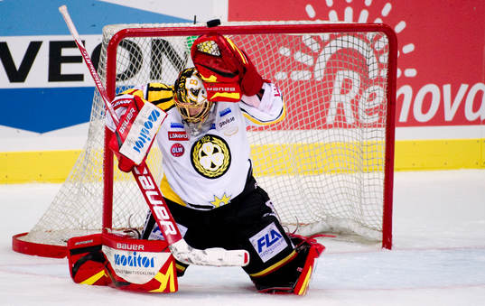 Niklas Svedberg, målvakt, Brynäs