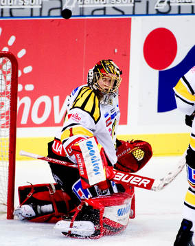 Niklas Svedberg, målvakt, Brynäs
