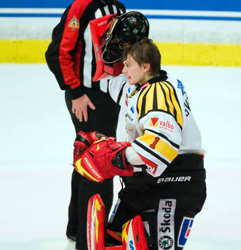 Niklas Svedberg, målvakt, Brynäs