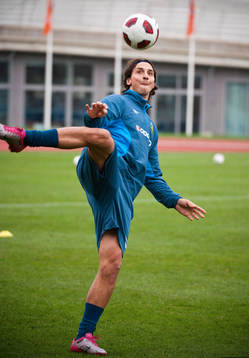 Zlatan Ibrahimovic