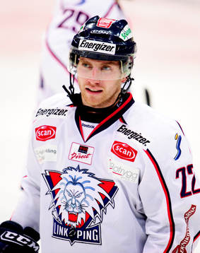 Matt Murley, Linköping