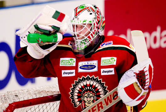 Johan Holmqvist, målvakt