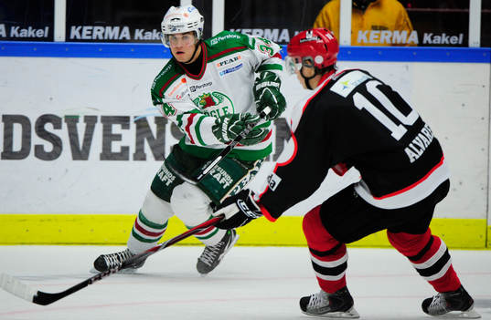 Robin Alvarez, Malmö och Henrik Björklund, Rögle