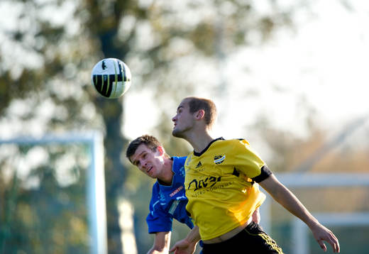Adam Larsson, Hässleholm