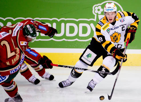 Fredrik Warg, Skellefteå