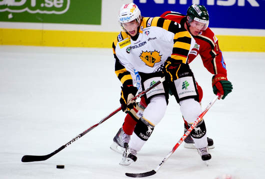 David Rundblad, Skellefteå