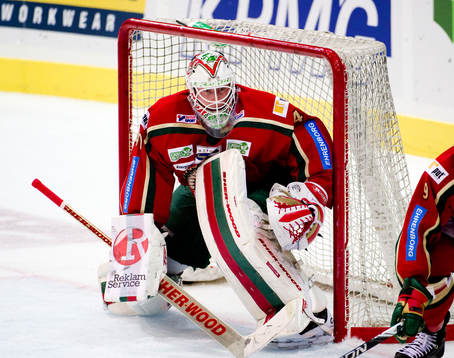 Johan Holmqvist, målvakt