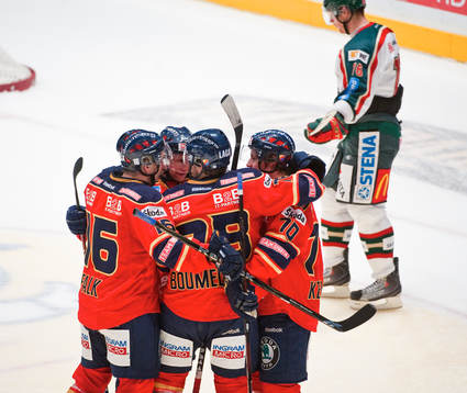Jubel i Djurgården