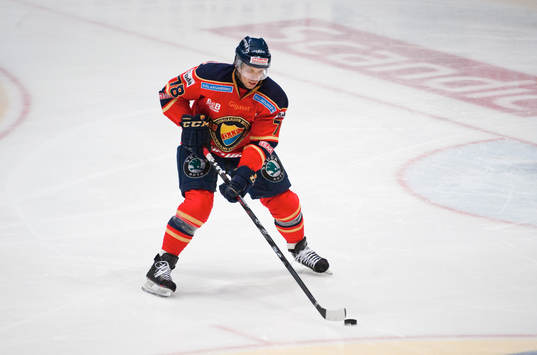 Josef Boumedienne