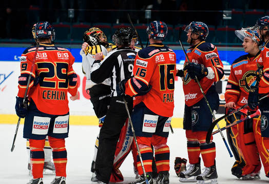 Brynäs målvakt Niklas Svedberg gav sig