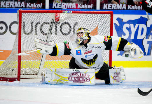 Johan Gustafsson, målvakt Västerås