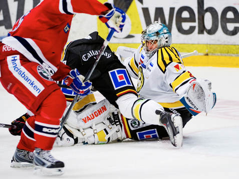 Thomas Greiss, målvakt, Brynäs, slänger sig
