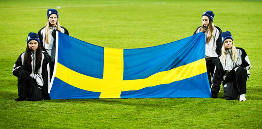 Svensk flagga, flicka, ungdom, genre
