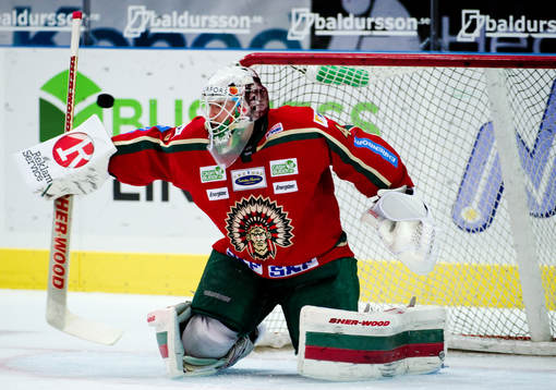Johan Holmqvist, målvakt