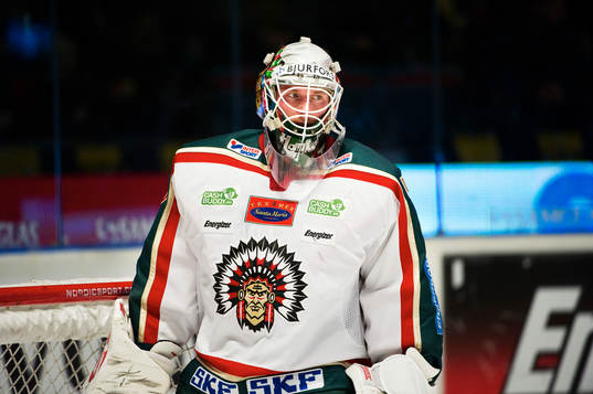 Johan Holmqvist, målvakt