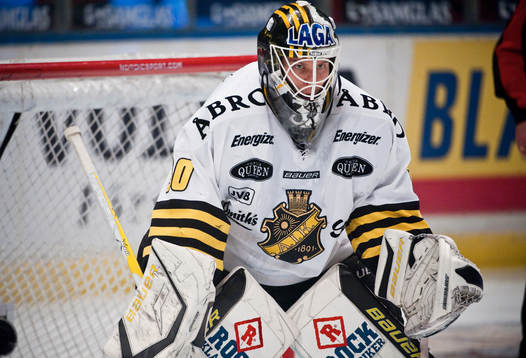 Viktor Fasth, målvakt