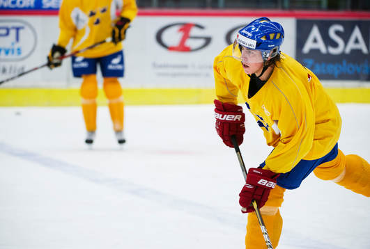 Sebastian Erixon