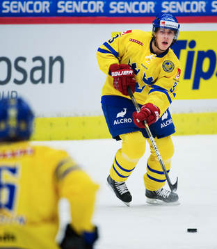 Sebastian Erixon, Sverige