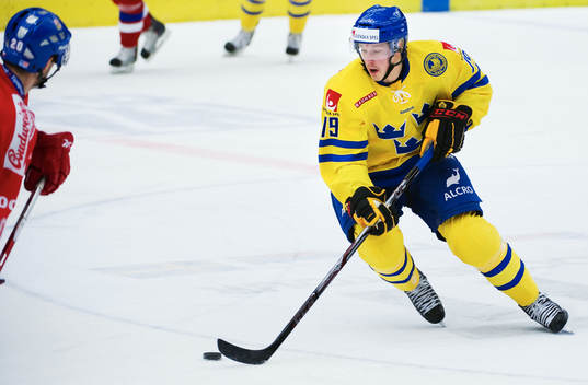 Fredrik Warg, Sverige