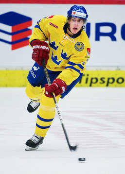 Sebastian Erixon