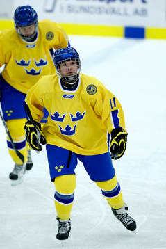 Gustav Björklund, Sverige jubel