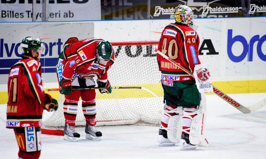 Christoph Schubert, Johan Holmqvist, målvakt, Frölunda