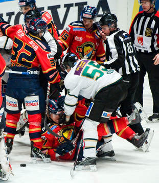Mathias Tjärnqvist, Djurgården och Martin Sevc, Färjestad