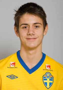 Mirza Mujcic, Sverige