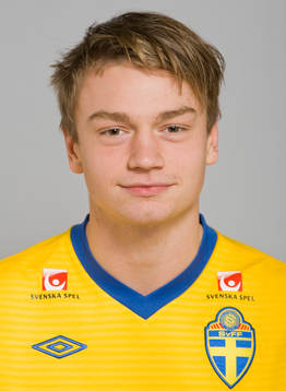 Fredrik Alnäs, Sverige
