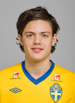 David Moberg-Karlsson, Sverige
