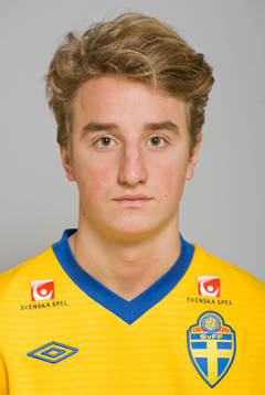 Hannes Bernhardsson, Sverige