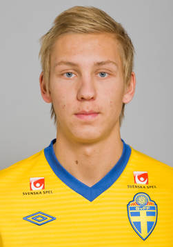 William Ankarhake, Sverige