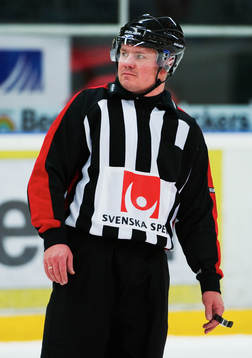 Alexey Ravodin, domare