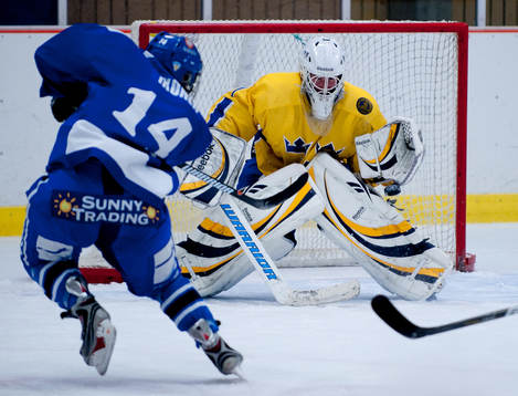 Bläddra bland fler bilder av Ishockey, Landslag, U16, Sverige - Finland