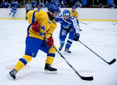 Viktor Lindell, Sverige