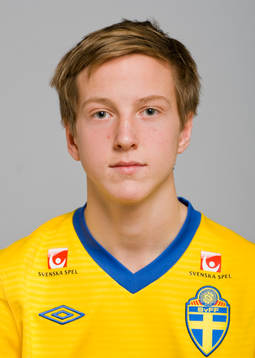 Carl Johan Ågren, Sverige