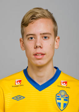Joakim Häll, Sverige