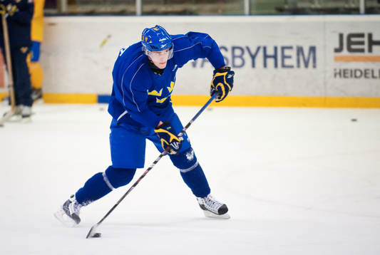 Patrik Cehlin