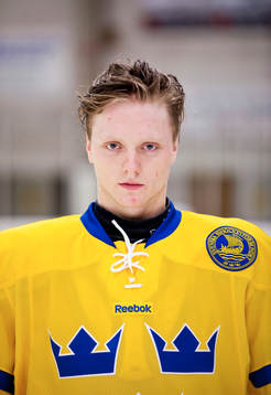 Carl Klingberg