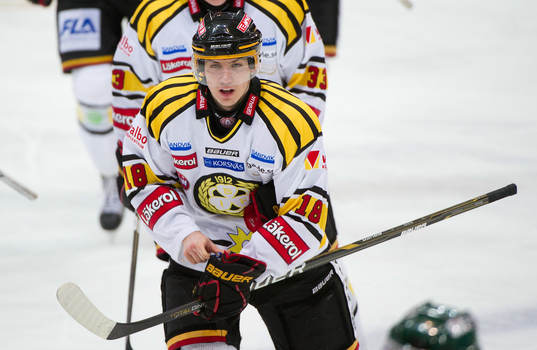 Anton Rödin, Brynäs